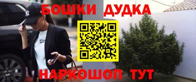 тгк Лесосибирск