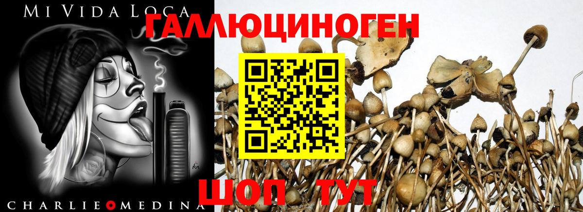 Галлюциногенные грибы мицелий Егорьевск