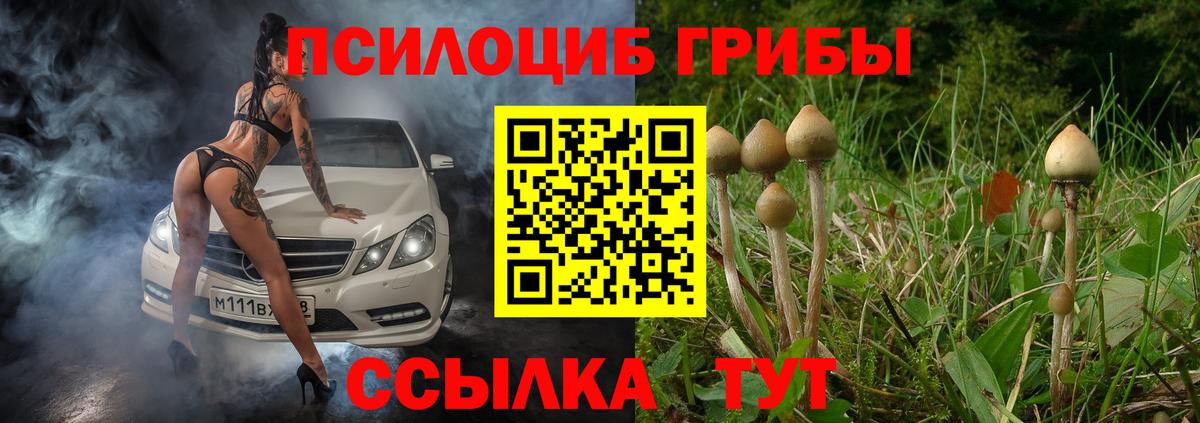 Егорьевск  Псилоцибиновые грибы ЛСД  цена   Вход с VPN 